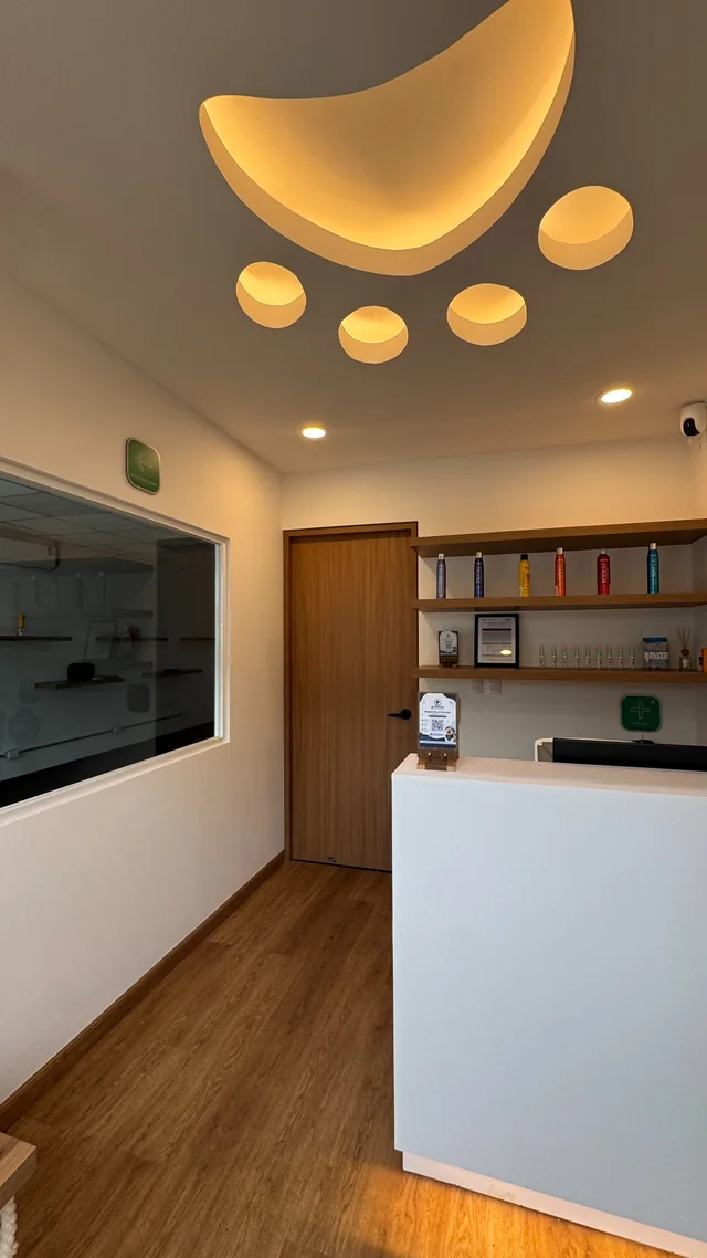 Recepción real de Groomia con acabados de madera, mostrador claro e iluminación de huella en el techo